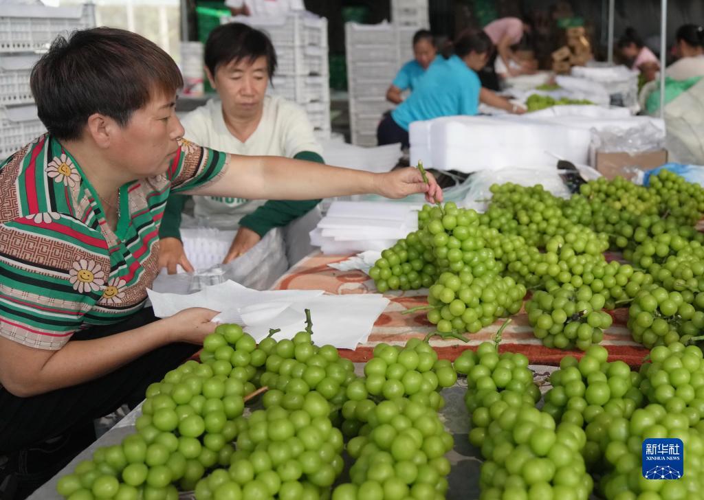 捕鱼大师会点杀